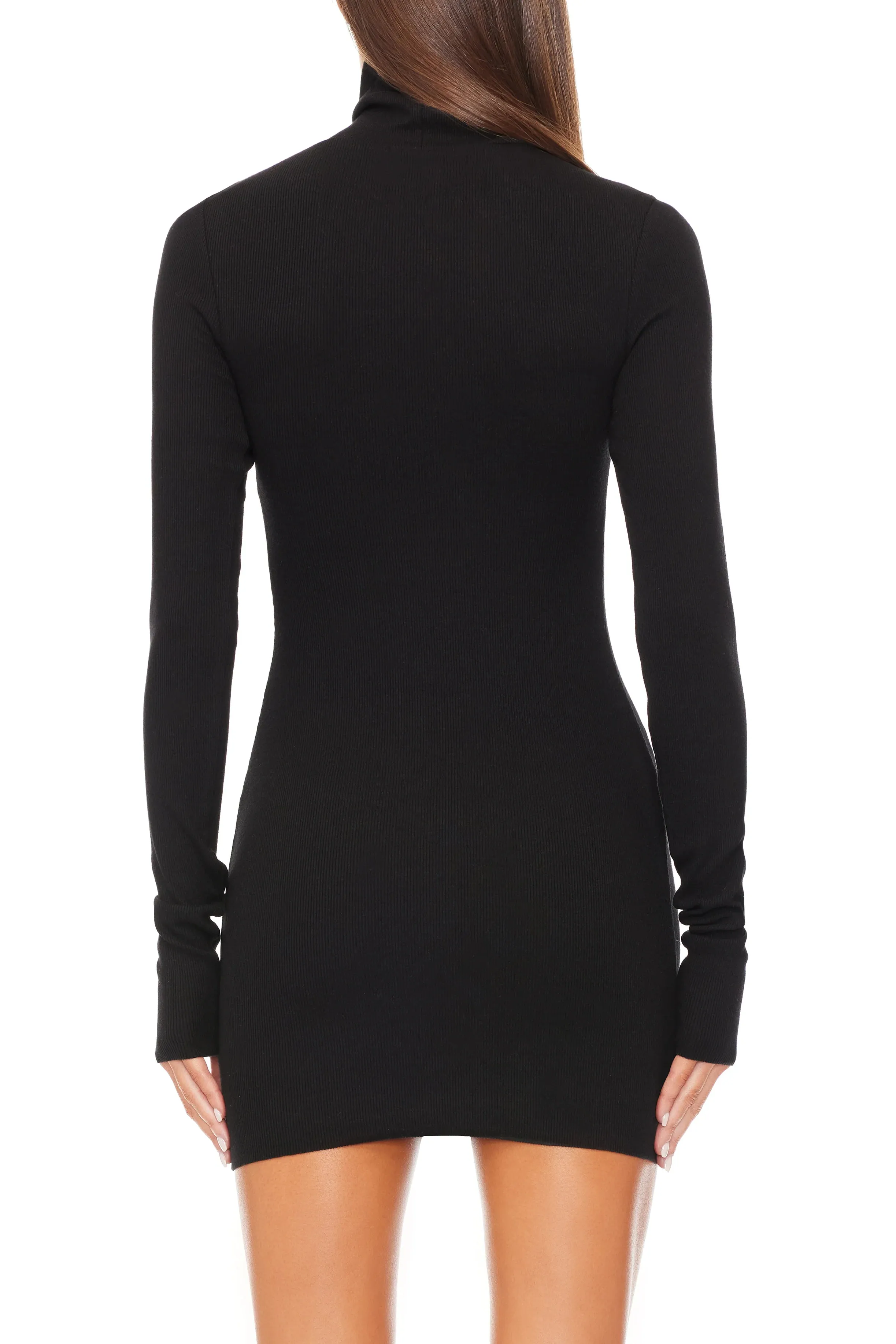 LONG SLEEVE TURTLENECK MINI DRESS IN BLACK