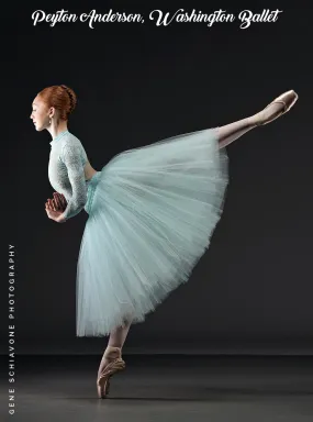 Professional Style Romantic Tutu - Made to Order