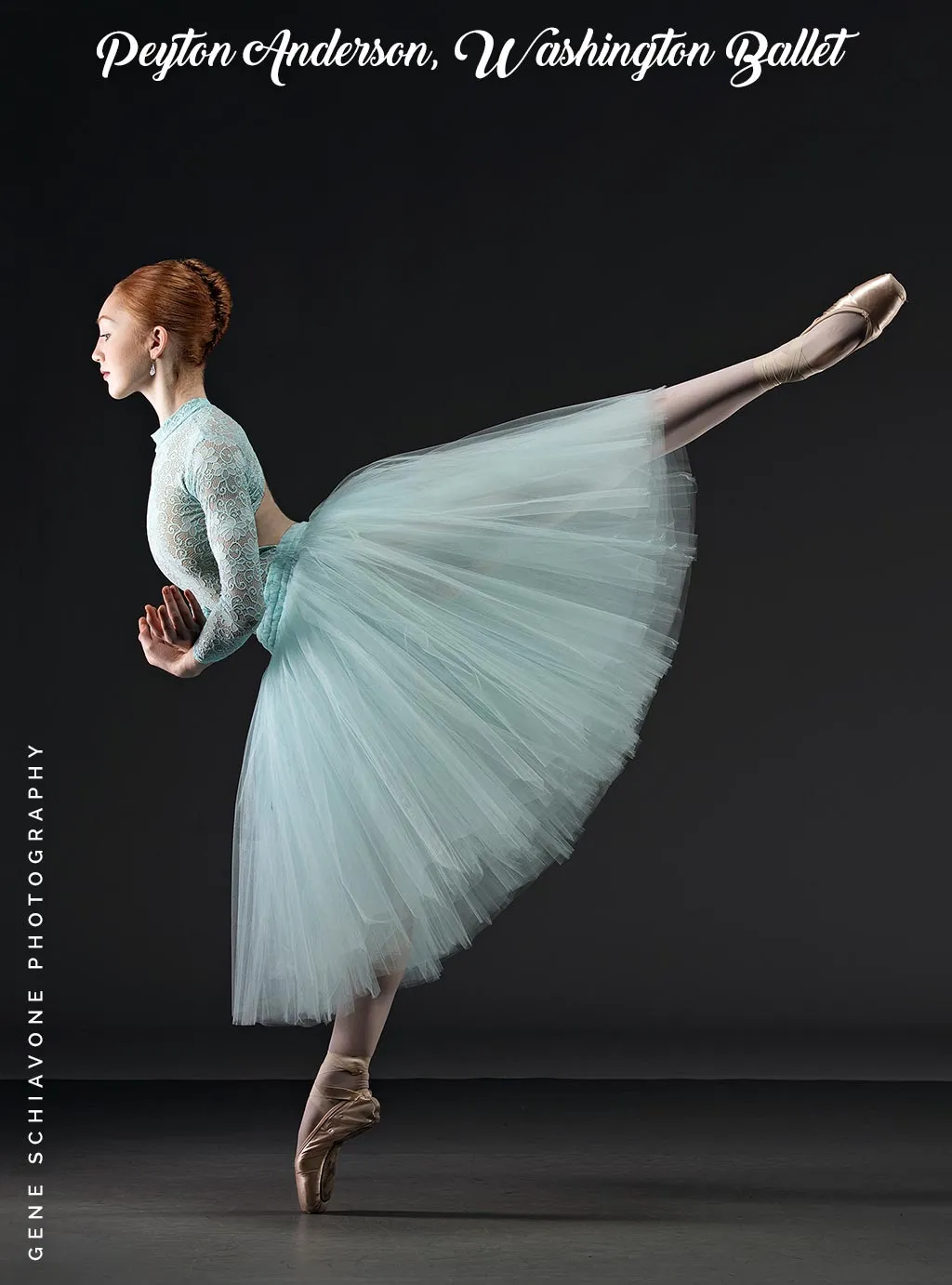Professional Style Romantic Tutu - Made to Order